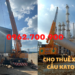 CHO THUÊ XE CẨU KATO 30 TẤN BÌNH DƯƠNG
