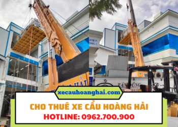 THUÊ XE CẨU KATO 25 TẤN TÂN UYÊN
