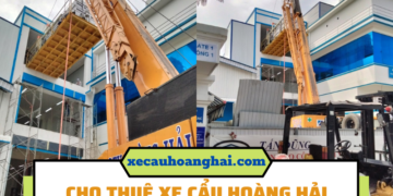 THUÊ XE CẨU KATO 25 TẤN TÂN UYÊN
