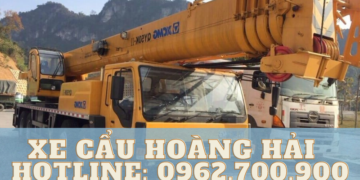 THUÊ XE CẨU KATO 80 TẤN BÌNH DƯƠNG